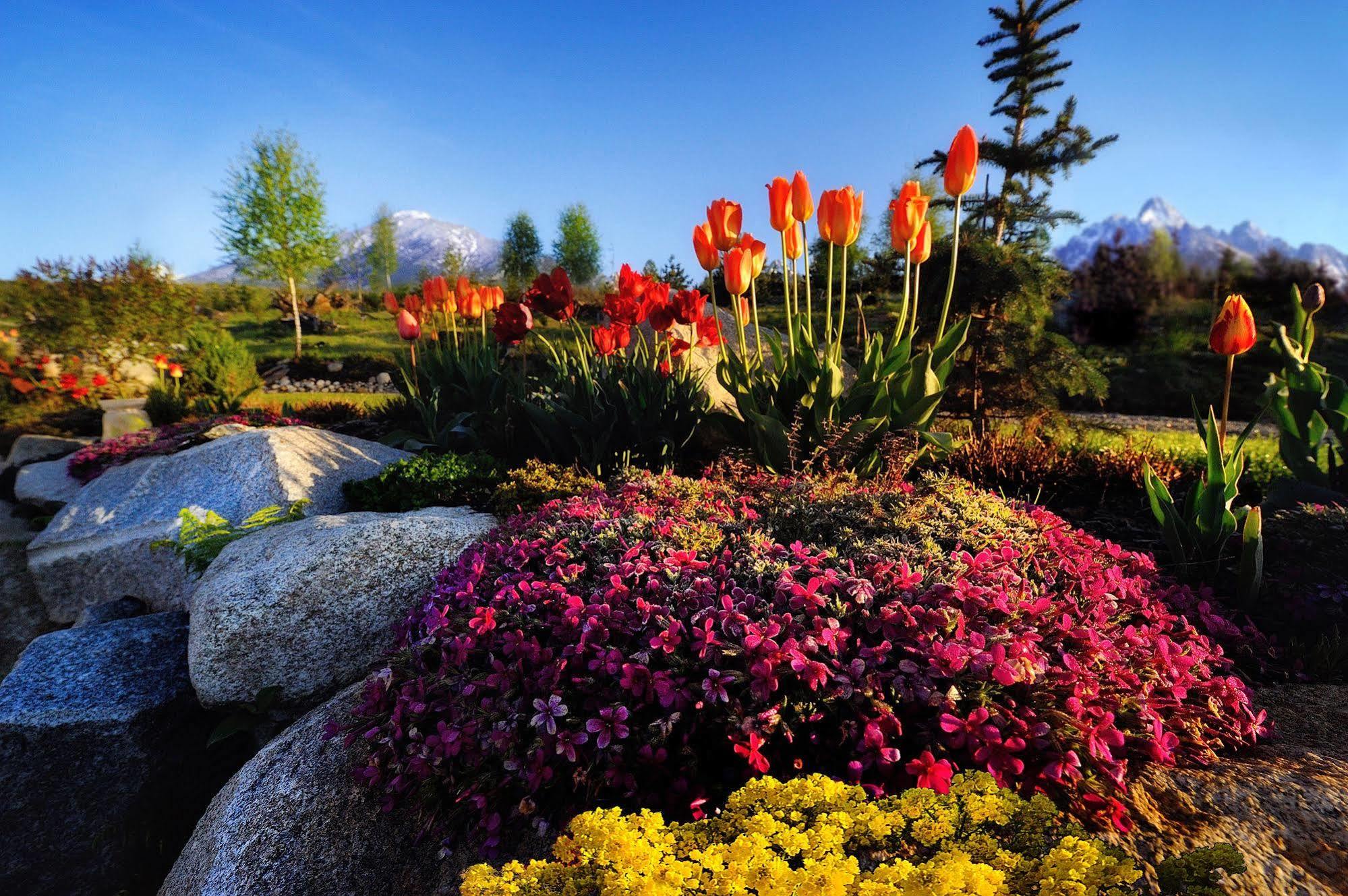Panoramic Mountain Residence Vysoke Tatry Bagian luar foto
